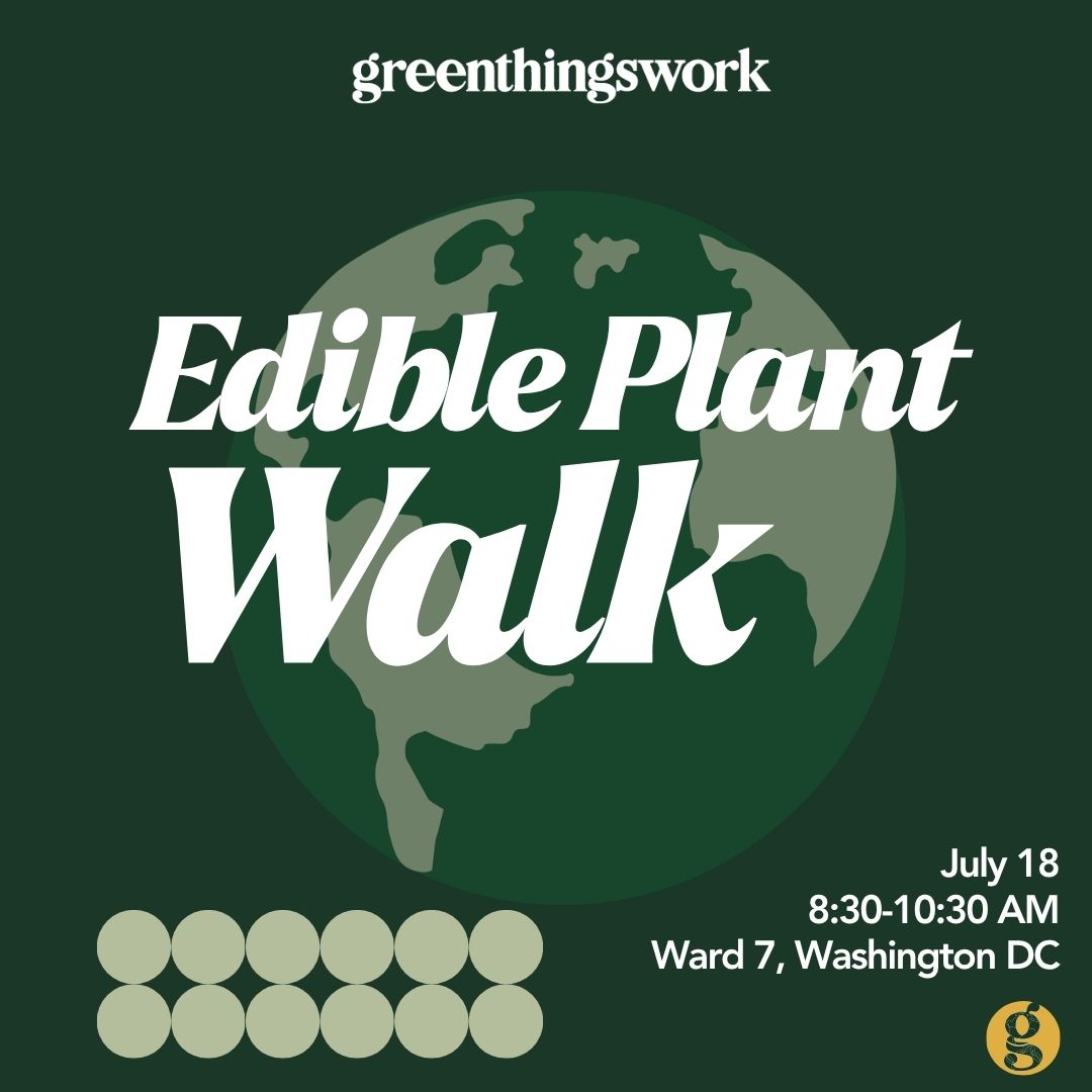 Edible Plant Walk